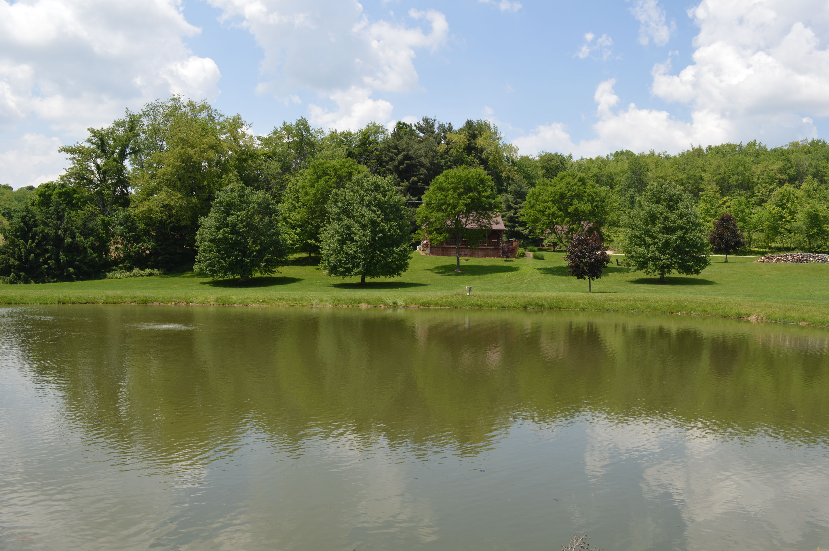 Ohio's top rated, 5-star rental at mohican state park.&nbsp; Private fishing Pond and a petting zoo.&nbsp; You can stay and feed the animals.